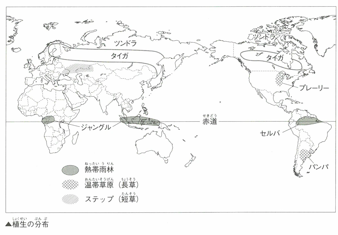 ▲植生の分布